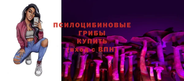 ешки Иннополис