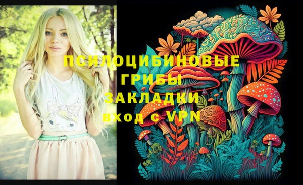 ешки Иннополис