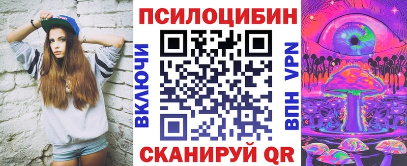 Купить где  Артёмовский  Псилоцибиновые грибы Psilocybine cubensis 